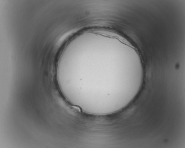 X0000113930979200910161847