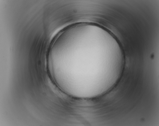 X0000113930980200910161847