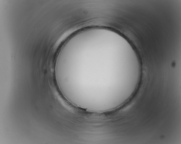 X0000113930981200910161847