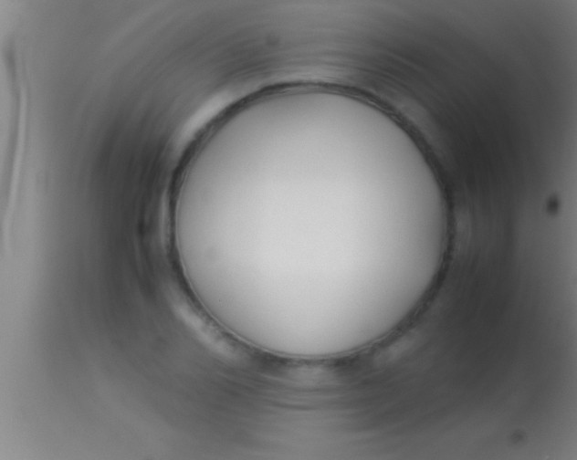 X0000113930982200910161847