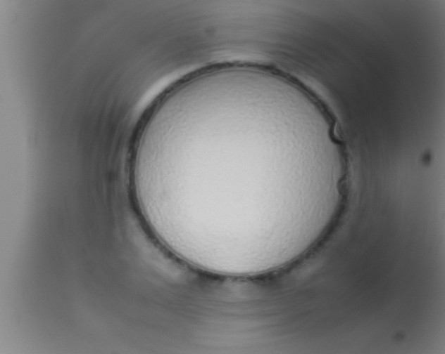 X0000113930983200910161847