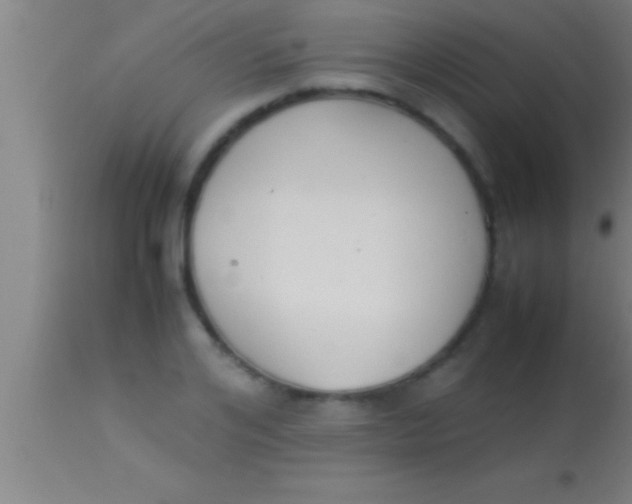 X0000113930984200910161847