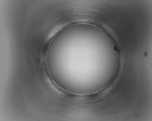 X0000113930985200910161847