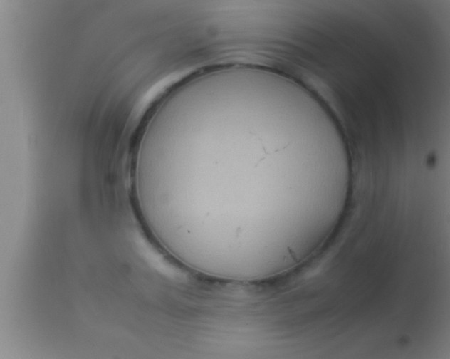 X0000113930987200910161847