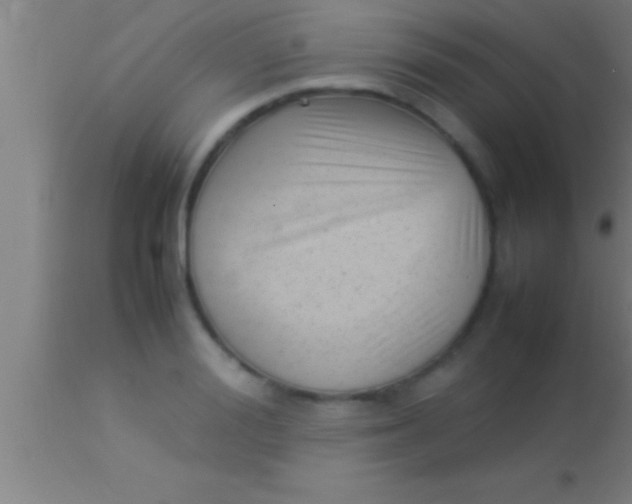 X0000113930988200910161847