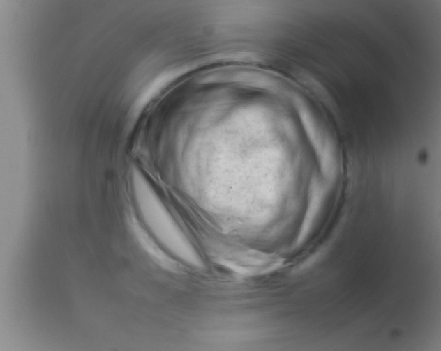 X0000113930989200910161847