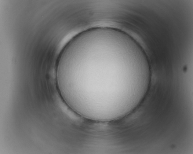 X0000113930990200910161847