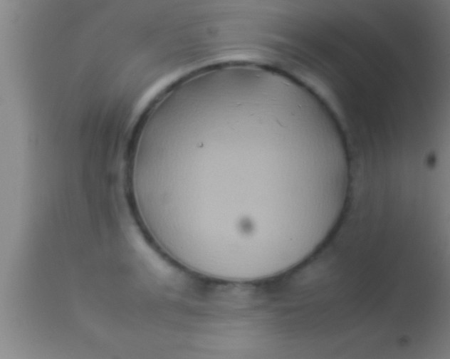 X0000113930991200910161847