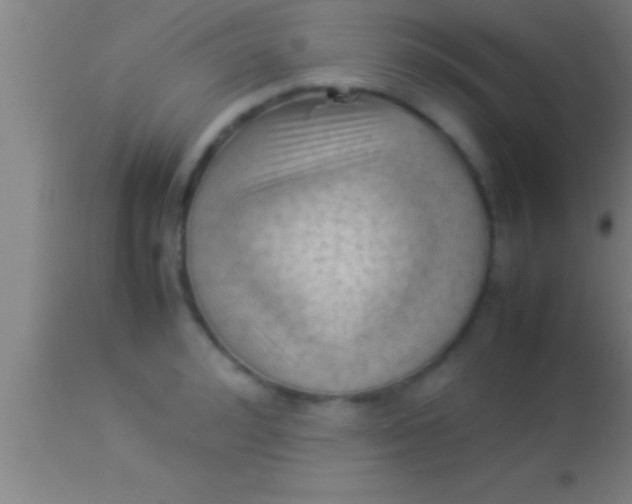 X0000113930992200910161846