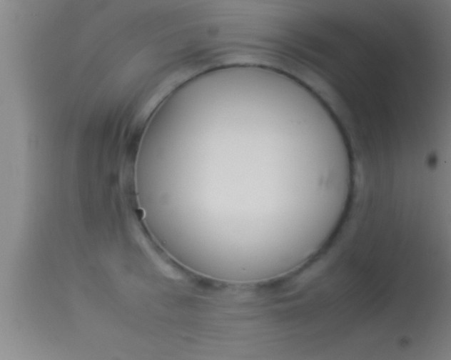 X0000113930993200910161846