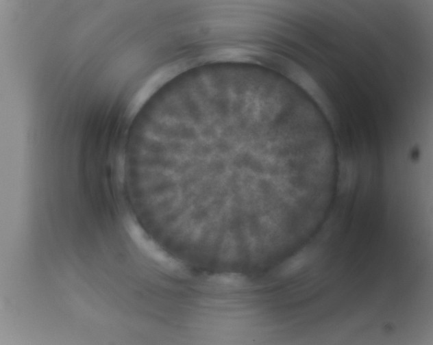 X0000113930994200910161846