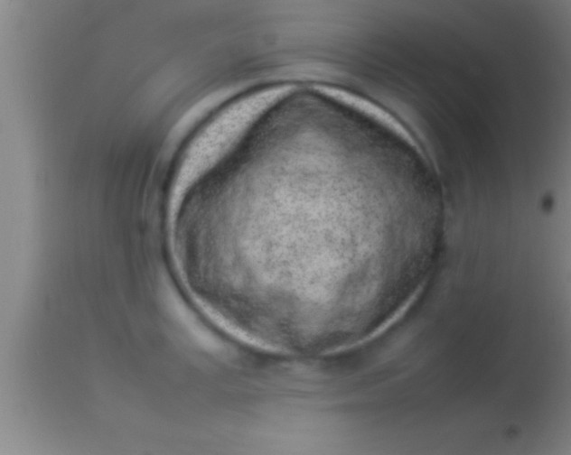 X0000113930995200910161846