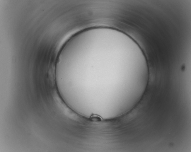 X0000113930996200910161846