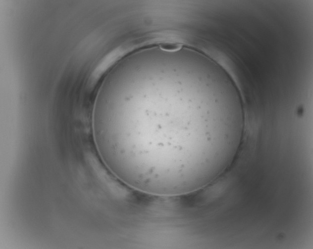 X0000113930997200910161846