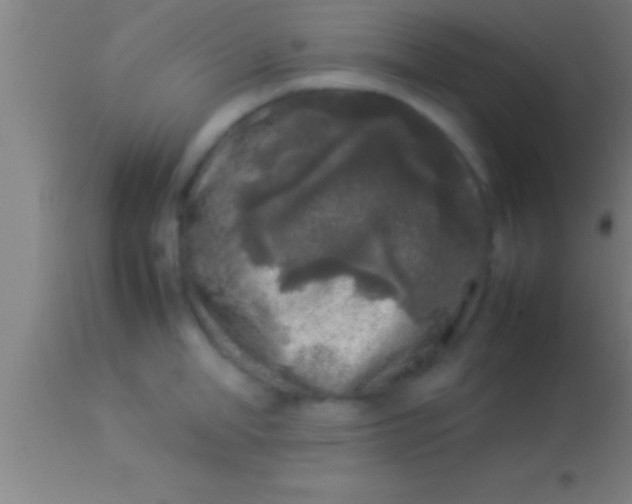 X0000113930998200910161846