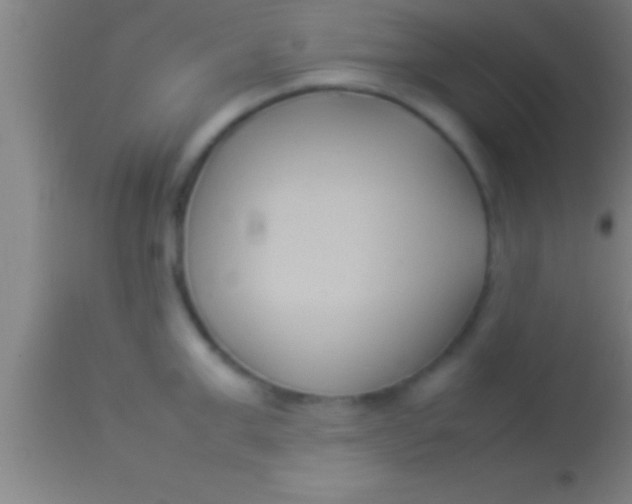 X0000113930999200910161846