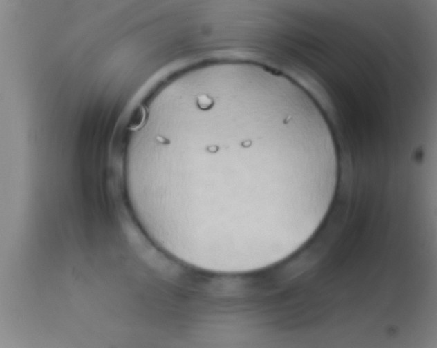 X0000113931000200910161846