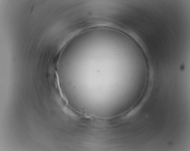 X0000113931001200910161846