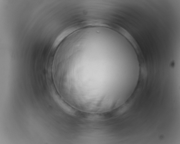 X0000113931002200910161846