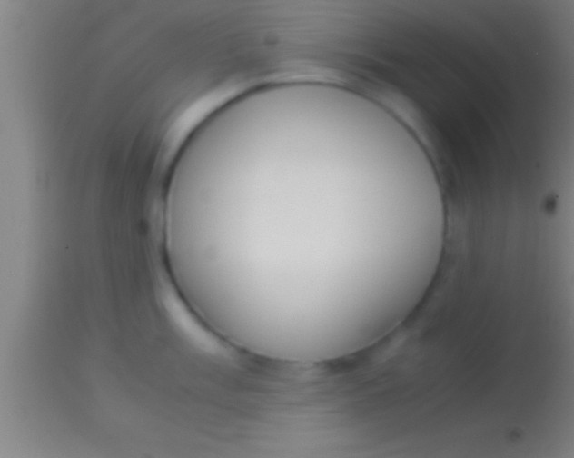 X0000113931003200910161846