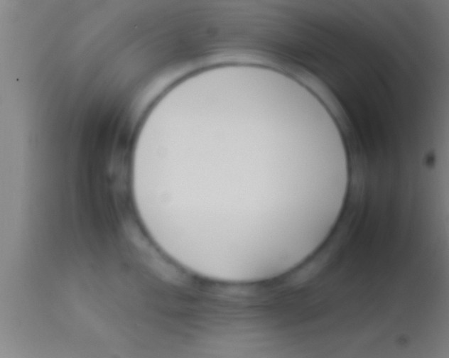 X0000113931004200910161846