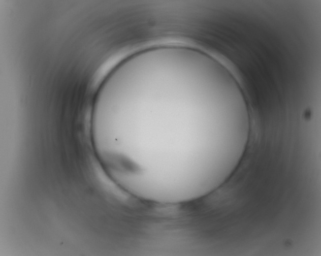 X0000113931006200910161846