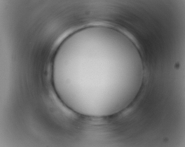 X0000113931007200910161846