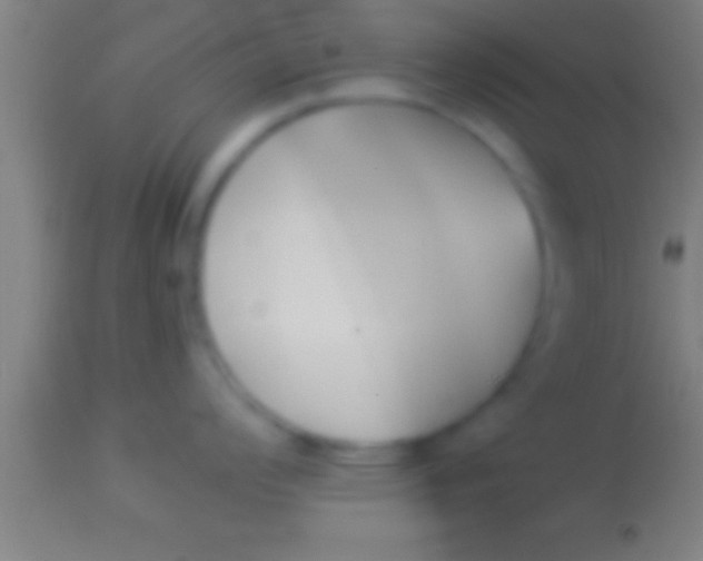 X0000113931008200910161846