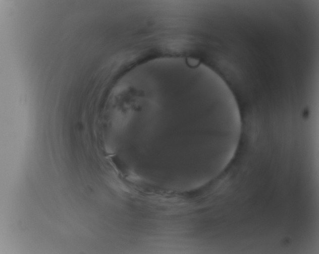 X0000113931009200910161845