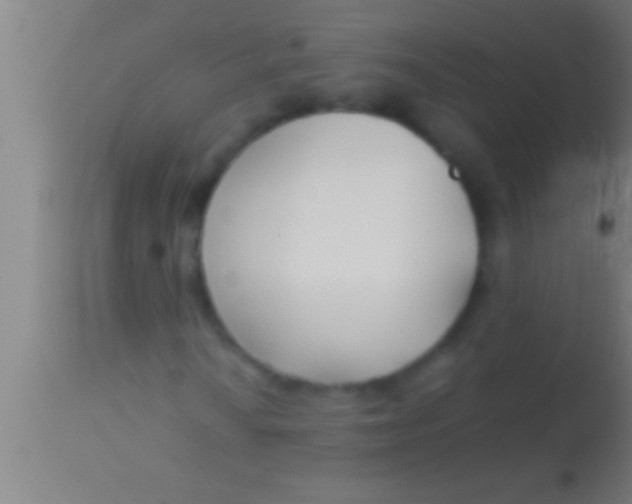 X0000113931010200910161845