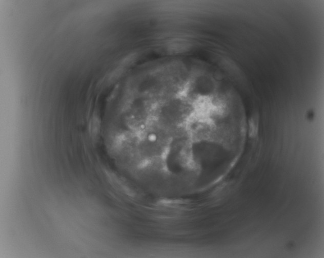 X0000113931011200910161845