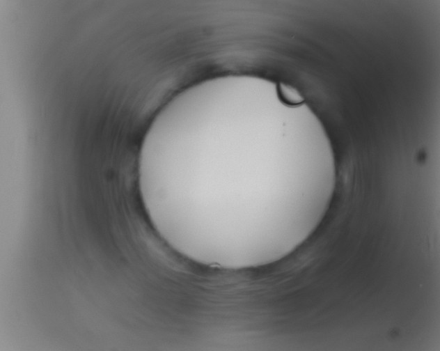 X0000113931012200910161845