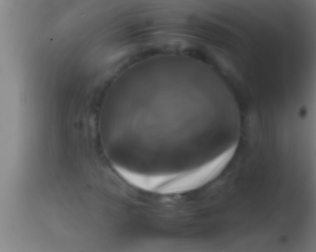 X0000113931013200910161845