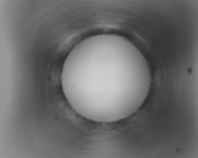 X0000113931014200910161845