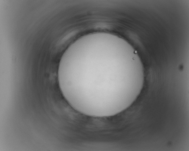 X0000113931015200910161845