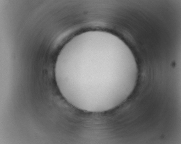 X0000113931016200910161845