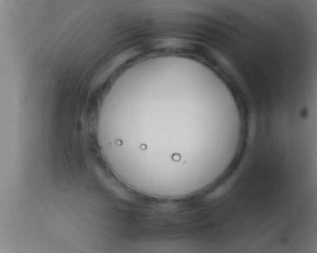 X0000113931017200910161845