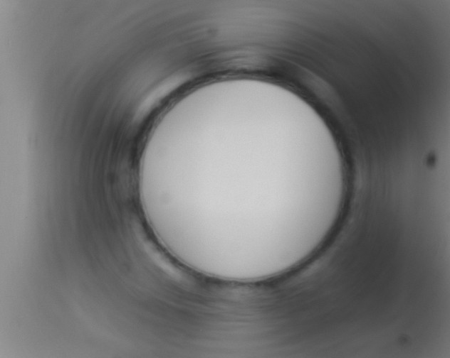 X0000113931018200910161845