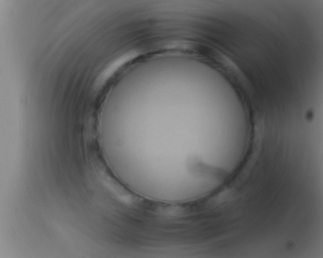 X0000113931019200910161845