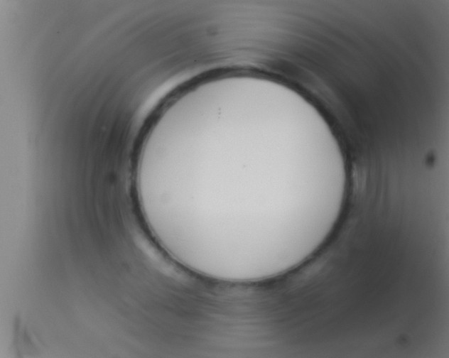 X0000113931020200910161845