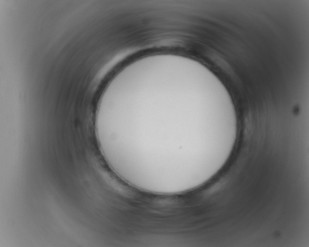 X0000113931021200910161845