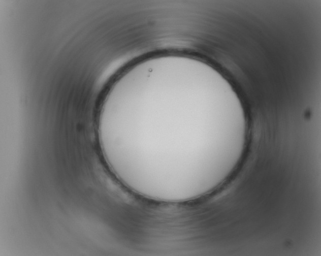 X0000113931022200910161845