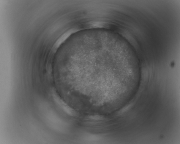 X0000113931023200910161845