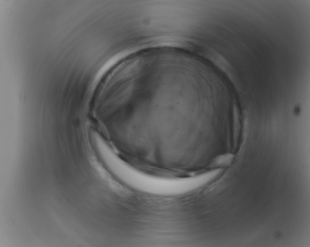 X0000113931024200910161845