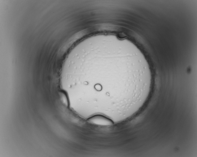 X0000113931025200910161846