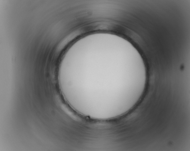 X0000113931026200910161846