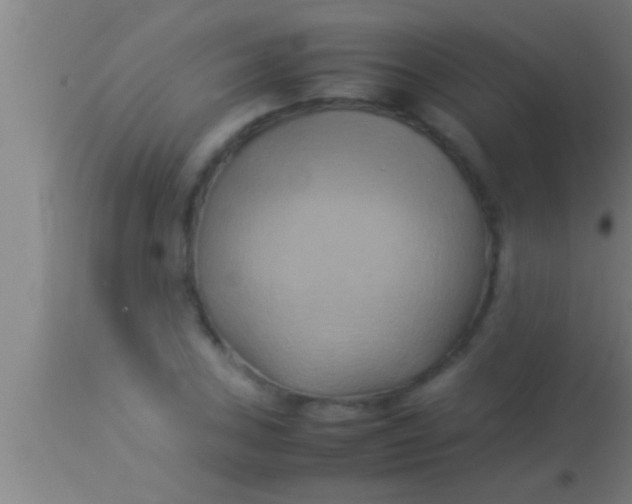 X0000113931027200910161846