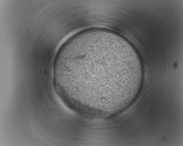 X0000113931028200910161846