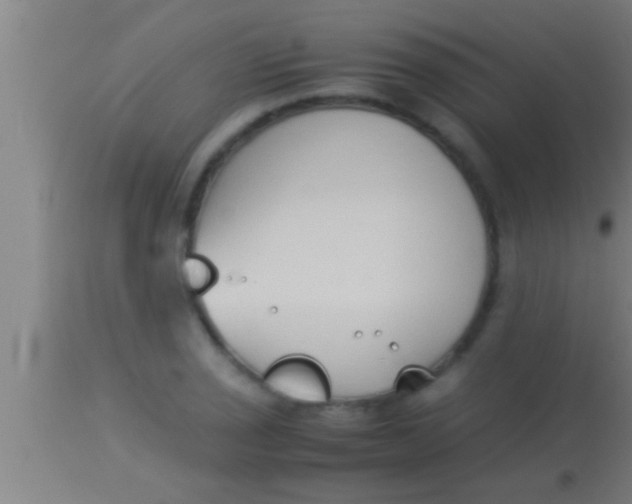 X0000113931029200910161846