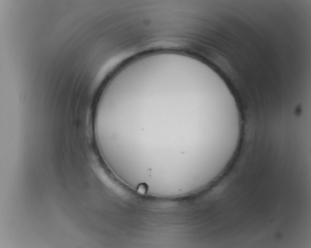 X0000113931030200910161846